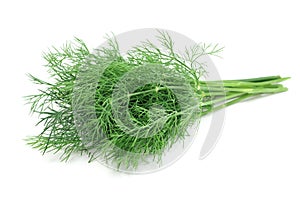 Bunch of fresh dill