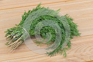 A bunch of fresh dill on a wooden table, in a top view. The bunch has green leaves and small white roots. This is