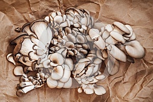 Bunch of fresh edible oyster mushrooms on craft paper background. Vegetarian food, healthy eating concept