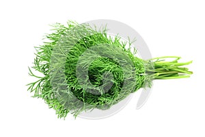 A bunch of fresh fennel