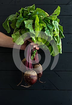 Bunch of fresh garden beetroot kept in man's hand