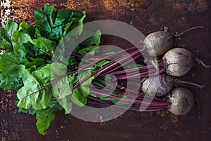 Bunch of fresh garden beetroot over grunge rusty metal backdrop