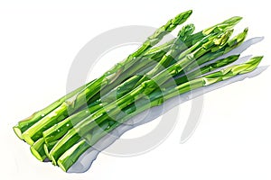 A Bunch of Fresh Green Asparagus on a White Background Ai generated