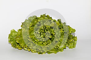 Bunch of fresh, green batavia lettuce salad head top view isolated on white background with copy space. Crinkled leaves bio crop f