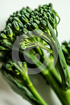 Bunch of fresh green broccolini tips macro closeup