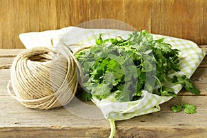 Bunch of fresh green coriander (cilantro)