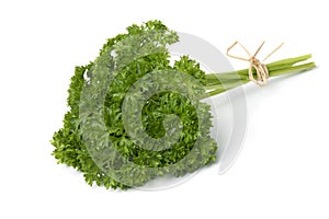 Bunch of fresh green curly leaf parsley on white background