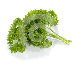 Bunch of fresh green curly parsley