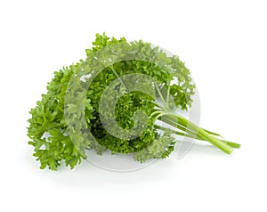 Bunch of fresh green curly parsley