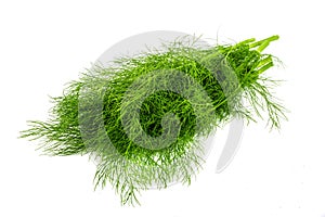 Bunch fresh green dill isolated on white background