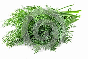 bunch fresh green dill isolated on white background