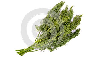 Bunch of fresh green dill isolated on white background