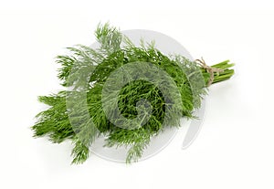 Bunch of fresh green dill isolated on white background