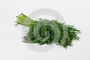 bunch fresh green dill isolated on white background