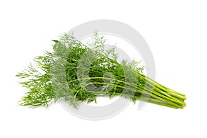 Bunch fresh green dill isolated on white background