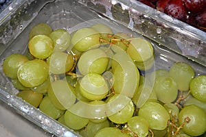 A bunch of Fresh green grapes