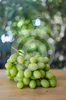 Bunch fresh green grapes