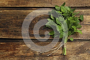 Bunch of fresh green lemon balm on wooden table, top view. Space for text