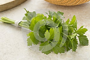 Bunch of fresh green lovage