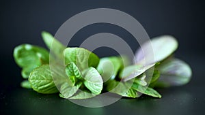Bunch of fresh green mint on black background