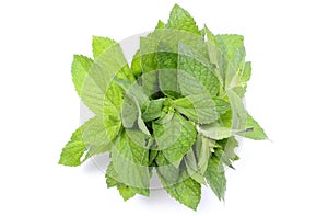 Bunch of fresh green mint on white background