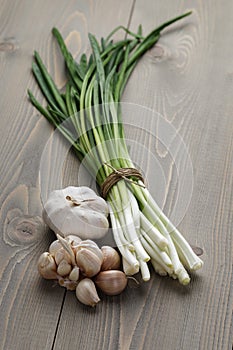 Bunch of fresh green onions and garlic