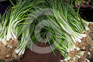 Bunch of fresh green onions scallions in bundle
