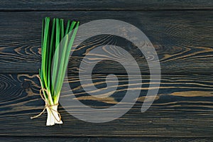 Bunch of fresh green onions scallions in bundle on breadboard table. Dark or neutral wooden background