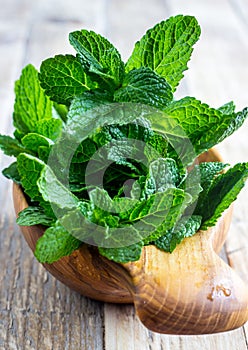Bunch of Fresh green organic mint leaf
