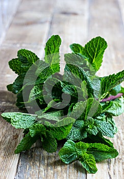 Bunch of Fresh green organic mint leaf