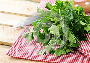 Bunch of fresh green organic parsley