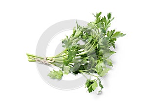 Bunch of fresh green organic parsley on white
