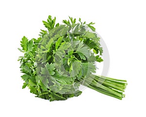 Bunch of fresh green parsley