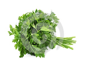 Bunch of fresh green parsley