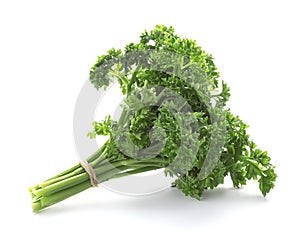 Bunch of fresh green parsley