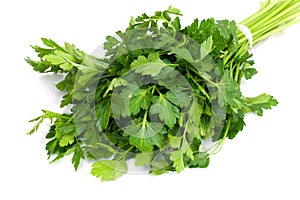 Bunch of Fresh green parsley