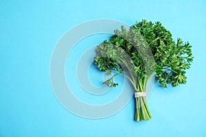 Bunch of fresh green parsley on blue , top view. Space for text