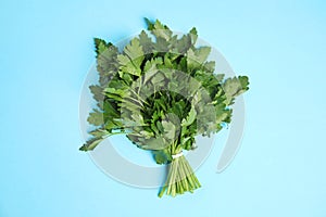 Bunch of fresh green parsley on color background