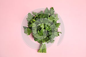 Bunch of fresh green parsley on color background