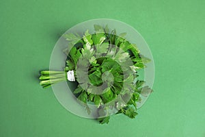 Bunch of fresh green parsley on color background