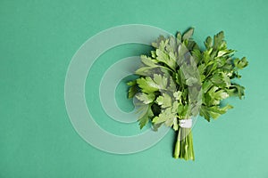 Bunch of fresh green parsley on color background. Space for text