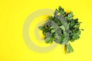 Bunch of fresh green parsley on color background. Space for text