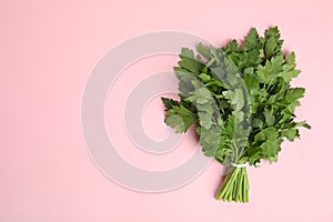 Bunch of fresh green parsley on color background, view from above