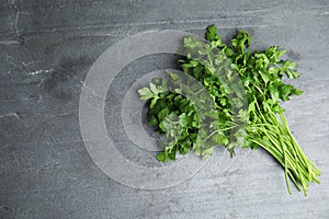 Bunch of fresh green parsley on grey background. Space for text