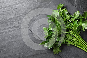 Bunch of fresh green parsley on grey table. Space for text