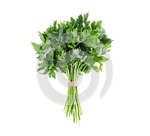 Bunch of fresh green parsley isolated