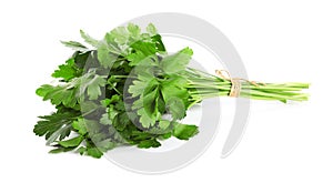 Bunch of fresh green parsley isolated