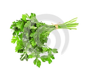 Bunch of fresh green parsley isolated