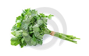 Bunch of fresh green parsley isolated
