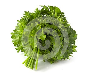Bunch of fresh green parsley isolated on white background.